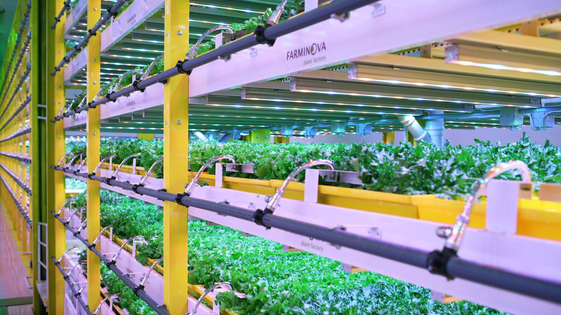 20200729 GR PHO 5268