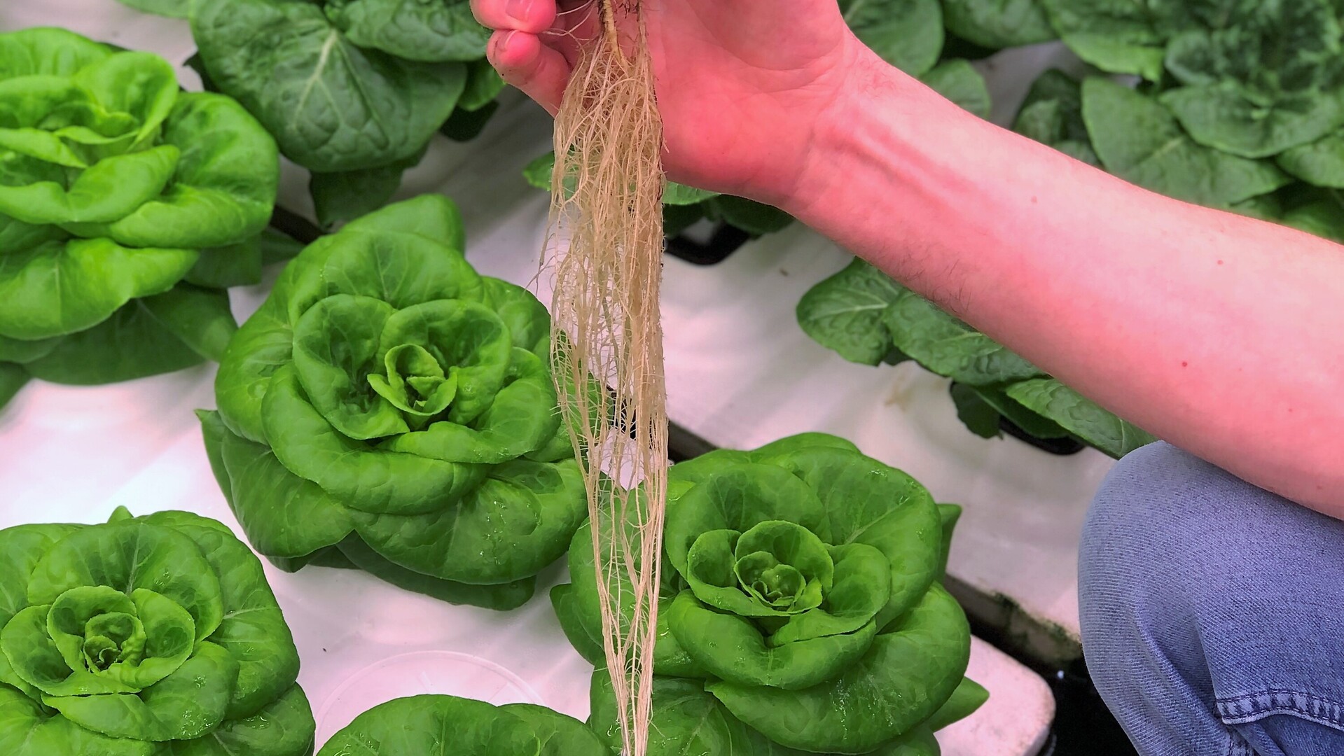 20210329_GR_PHO_5390