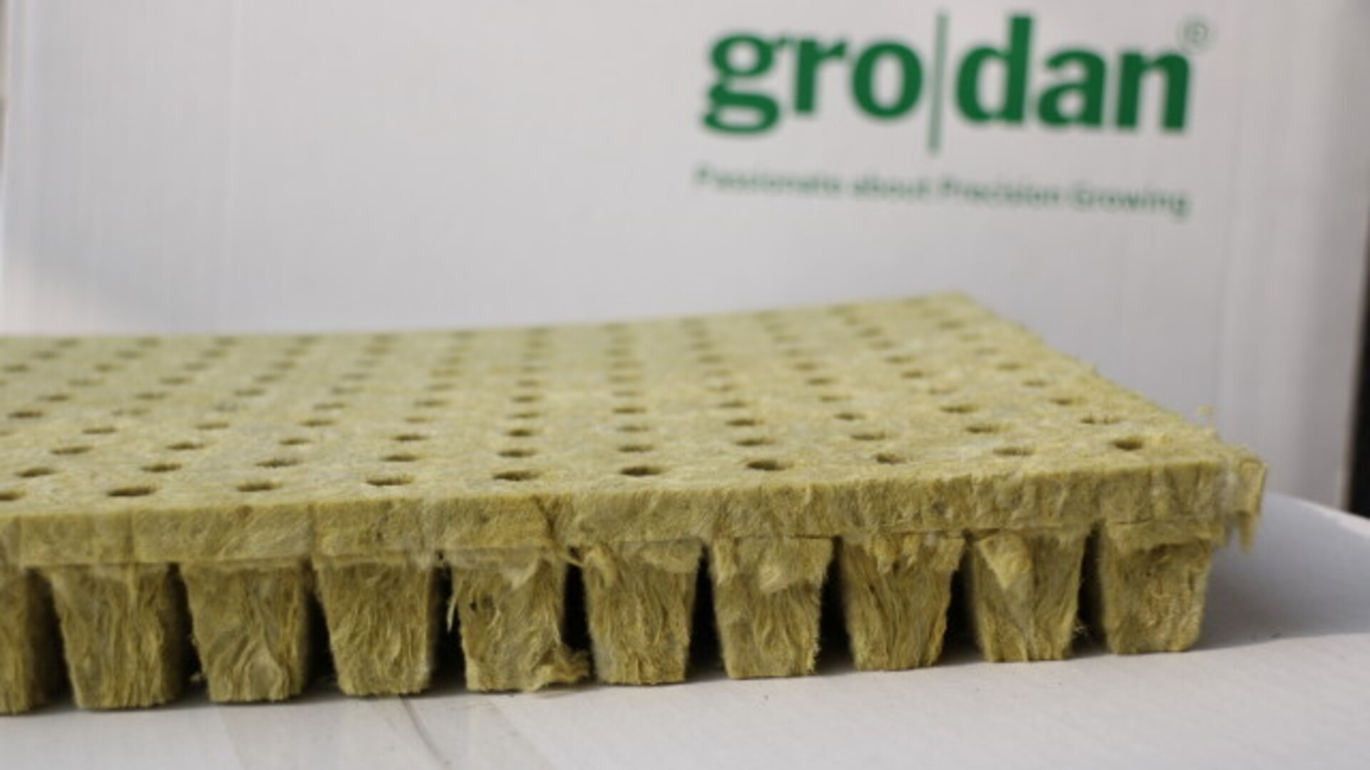 20211101 RW-GR PHO 5589