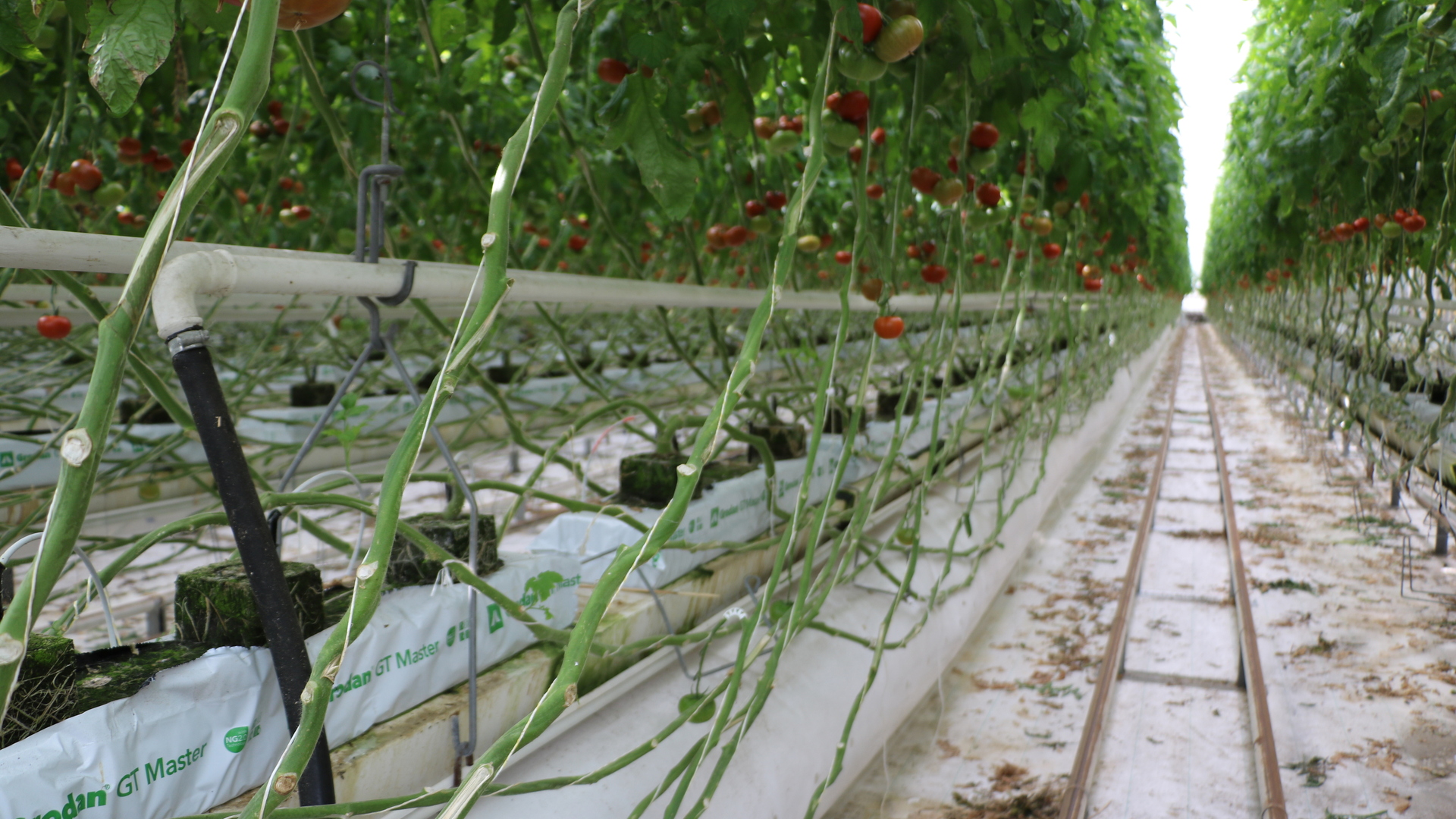 20220630 RW-GR PHO 1033