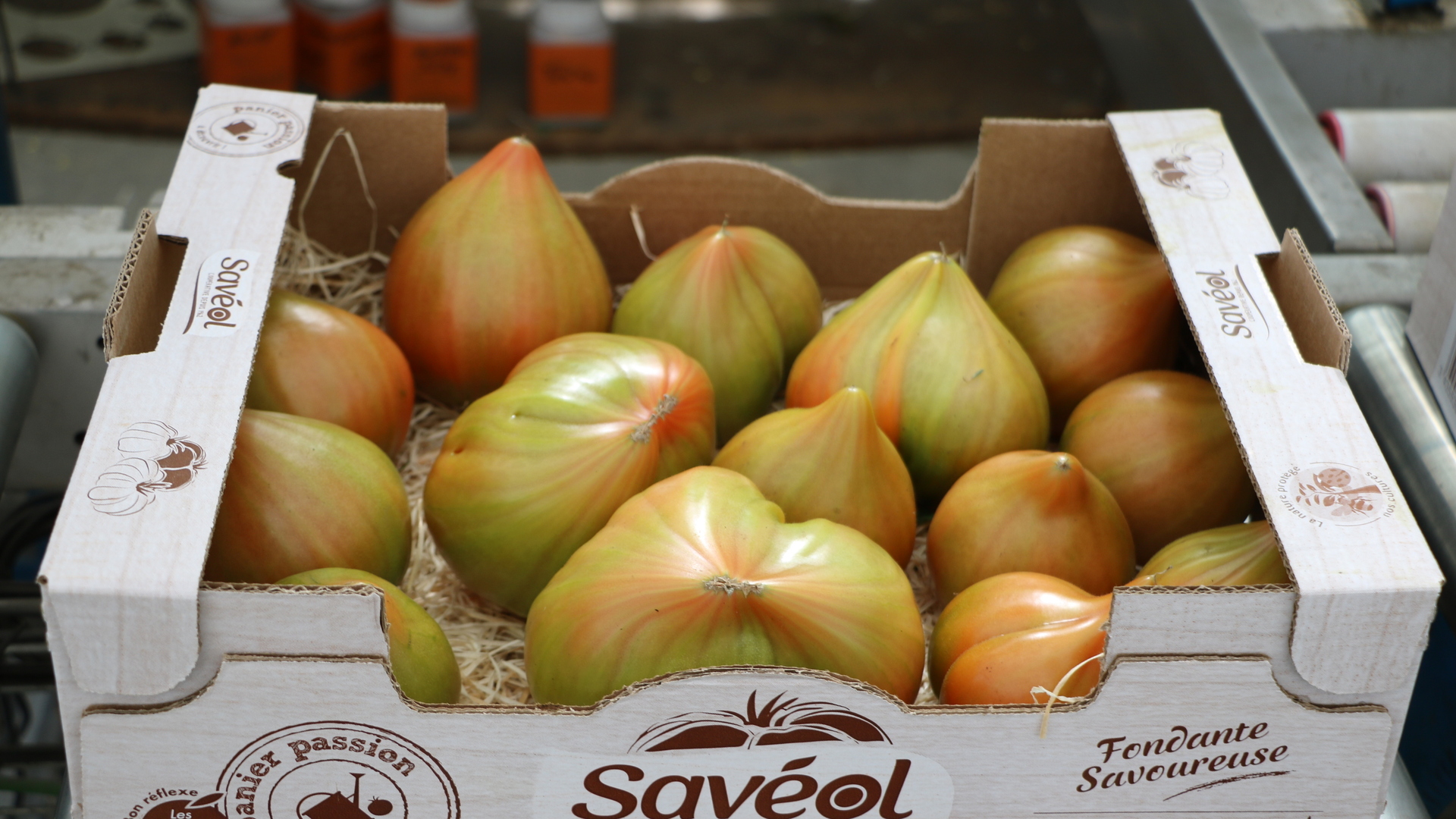 20220630 RW-GR PHO 1033